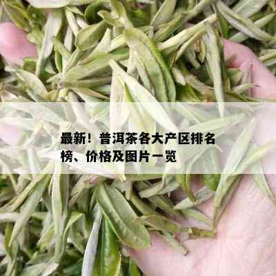 最新！普洱茶各大产区排名榜、价格及图片一览