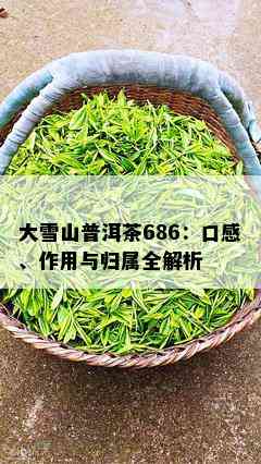 大雪山普洱茶686：口感、作用与归属全解析