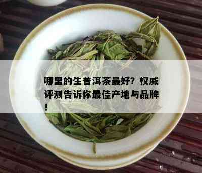 哪里的生普洱茶更好？权威评测告诉你更佳产地与品牌！