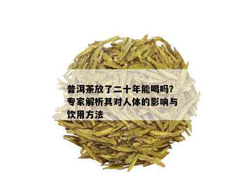 普洱茶放了二十年能喝吗？专家解析其对人体的影响与饮用方法