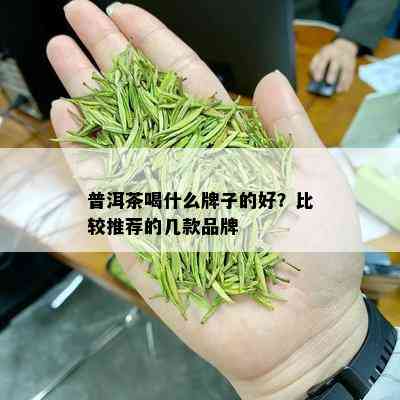 普洱茶喝什么牌子的好？比较推荐的几款品牌