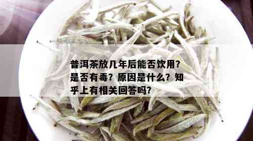 普洱茶放几年后能否饮用？是否有？原因是什么？知乎上有相关回答吗？