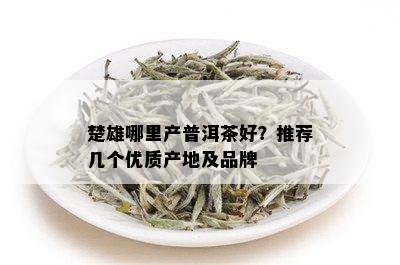 楚雄哪里产普洱茶好？推荐几个优质产地及品牌