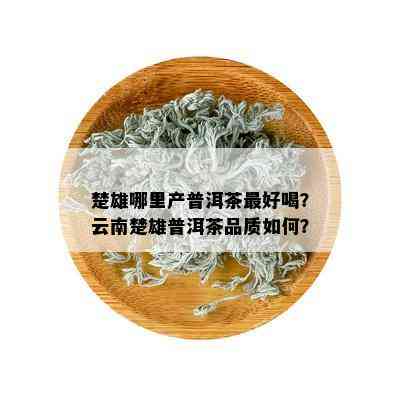 楚雄哪里产普洱茶更好喝？云南楚雄普洱茶品质如何？