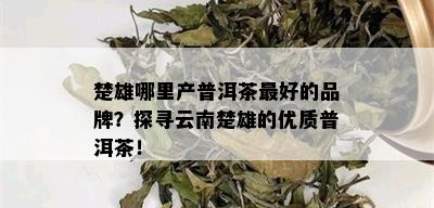 楚雄哪里产普洱茶更好的品牌？探寻云南楚雄的优质普洱茶！