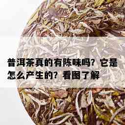 普洱茶真的有陈味吗？它是怎么产生的？看图了解