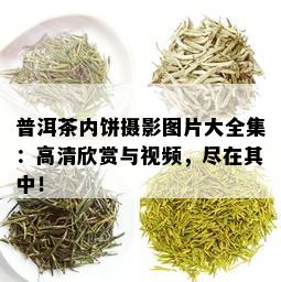 普洱茶内饼摄影图片大全集：高清欣赏与视频，尽在其中！