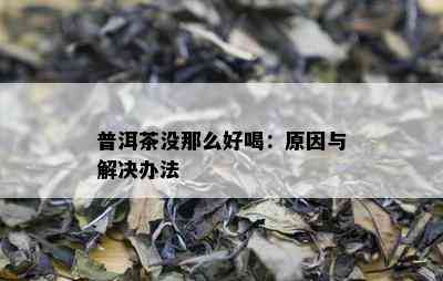 普洱茶没那么好喝：原因与解决办法