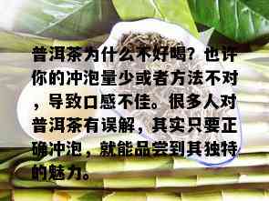 普洱茶为什么不好喝？也许你的冲泡量少或者方法不对，导致口感不佳。很多人对普洱茶有误解，其实只要正确冲泡，就能品尝到其独特的魅力。