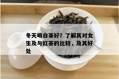 冬天喝白茶好？了解其对女生及与红茶的比较，及其好处