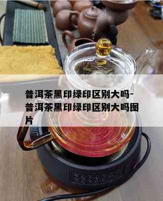 普洱茶黑印绿印区别大吗-普洱茶黑印绿印区别大吗图片