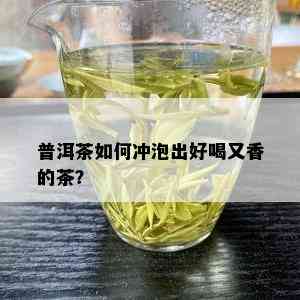 普洱茶如何冲泡出好喝又香的茶？