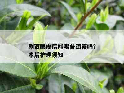 割双眼皮后能喝普洱茶吗？术后护理须知