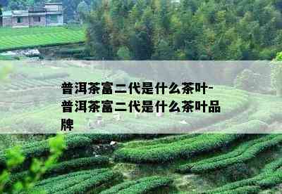 普洱茶富二代是什么茶叶-普洱茶富二代是什么茶叶品牌