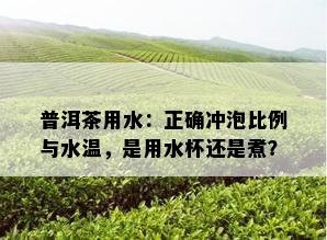 普洱茶用水：正确冲泡比例与水温，是用水杯还是煮？