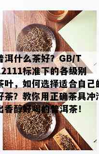 普洱什么茶好？GB/T 22111标准下的各级别茶叶，如何选择适合自己的好茶？教你用正确茶具冲泡出香醇好喝的普洱茶！