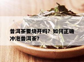 普洱茶要烧开吗？如何正确冲泡普洱茶？