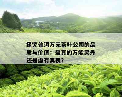 探究普洱万元茶叶公司的品质与价值：是真的万能灵丹还是虚有其表？