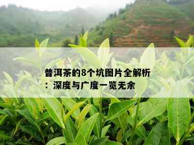 普洱茶的8个坑图片全解析：深度与广度一览无余