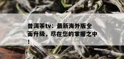 普洱茶tv：最新海外版全面升级，尽在您的掌握之中！