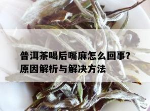 普洱茶喝后嘴麻怎么回事？原因解析与解决方法