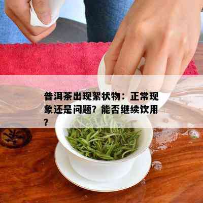 普洱茶出现絮状物：正常现象还是问题？能否继续饮用？