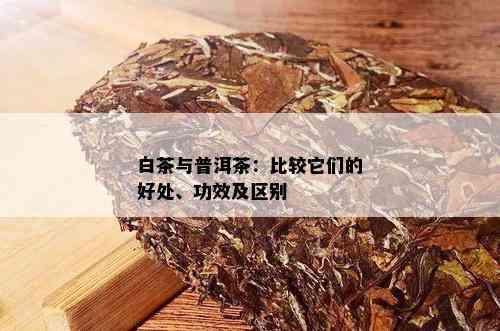 白茶与普洱茶：比较它们的好处、功效及区别