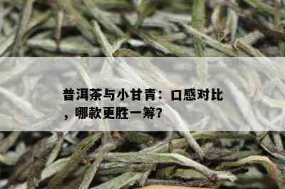 普洱茶与小甘青：口感对比，哪款更胜一筹？