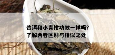 普洱和小青柑功效一样吗？了解两者区别与相似之处