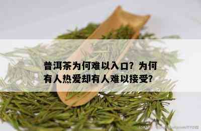 普洱茶为何难以入口？为何有人热爱却有人难以接受？