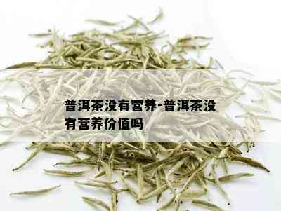 普洱茶没有营养-普洱茶没有营养价值吗