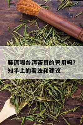 肺癌喝普洱茶真的管用吗？知乎上的看法和建议