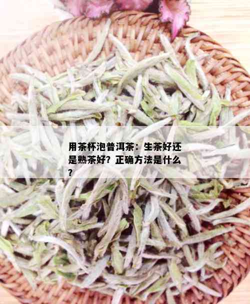 用茶杯泡普洱茶：生茶好还是熟茶好？正确方法是什么？