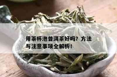 用茶杯泡普洱茶好吗？方法与注意事项全解析！