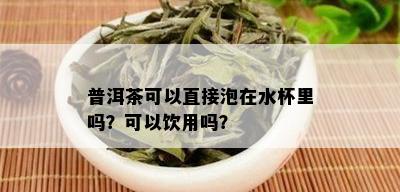 普洱茶可以直接泡在水杯里吗？可以饮用吗？