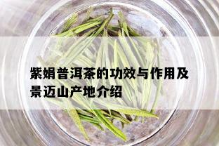 紫娟普洱茶的功效与作用及景迈山产地介绍