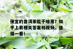 便宜的普洱茶能干啥用？知乎上有相关答案和视频，值得一看！