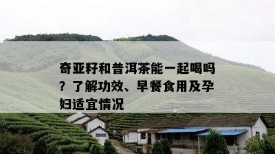 奇亚籽和普洱茶能一起喝吗？了解功效、早餐食用及孕妇适宜情况