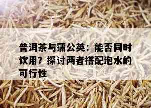 普洱茶与蒲公英：能否同时饮用？探讨两者搭配泡水的可行性