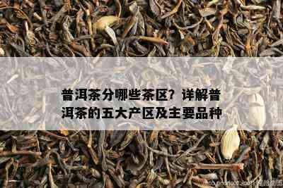 普洱茶分哪些茶区？详解普洱茶的五大产区及主要品种