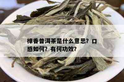 樟香普洱茶是什么意思？口感如何？有何功效？