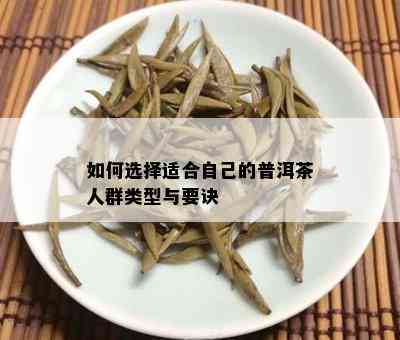 如何选择适合自己的普洱茶人群类型与要诀