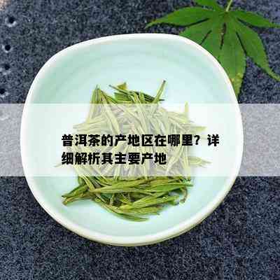 普洱茶的产地区在哪里？详细解析其主要产地