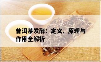 普洱茶发酵：定义、原理与作用全解析