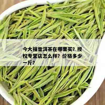 今大福普洱茶在哪里买？授权专营店怎么样？价格多少一斤？