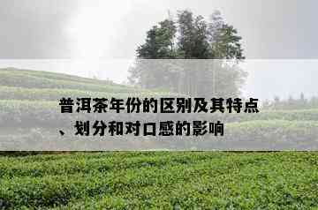 普洱茶年份的区别及其特点、划分和对口感的影响