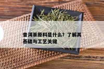 普洱茶原料是什么？了解其基础与工艺关键