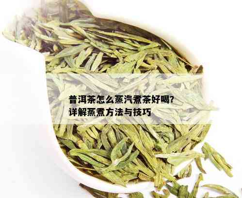 普洱茶怎么蒸汽煮茶好喝？详解蒸煮方法与技巧