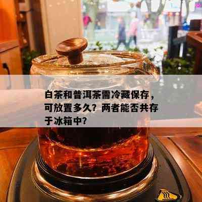 白茶和普洱茶需冷藏保存，可放置多久？两者能否共存于冰箱中？