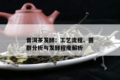 普洱茶发酵：工艺流程、菌群分析与发酵程度解析